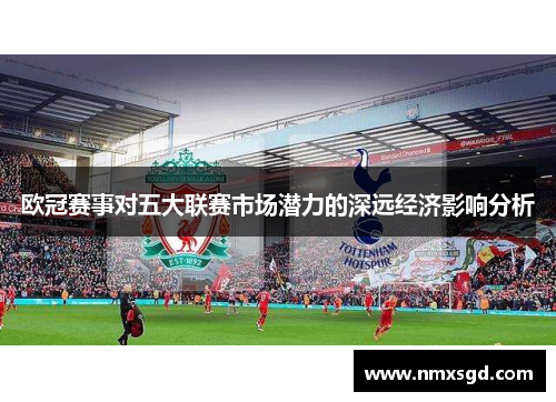 欧冠赛事对五大联赛市场潜力的深远经济影响分析