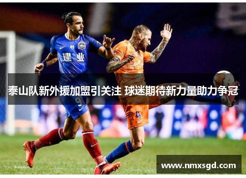 泰山队新外援加盟引关注 球迷期待新力量助力争冠