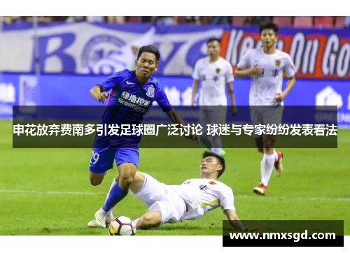 申花放弃费南多引发足球圈广泛讨论 球迷与专家纷纷发表看法