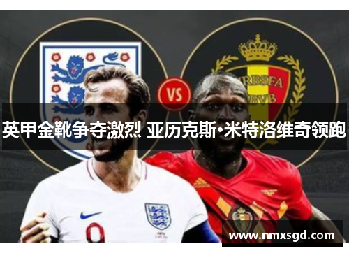 英甲金靴争夺激烈 亚历克斯·米特洛维奇领跑