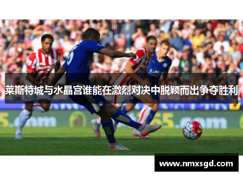 莱斯特城与水晶宫谁能在激烈对决中脱颖而出争夺胜利