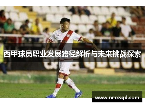 西甲球员职业发展路径解析与未来挑战探索